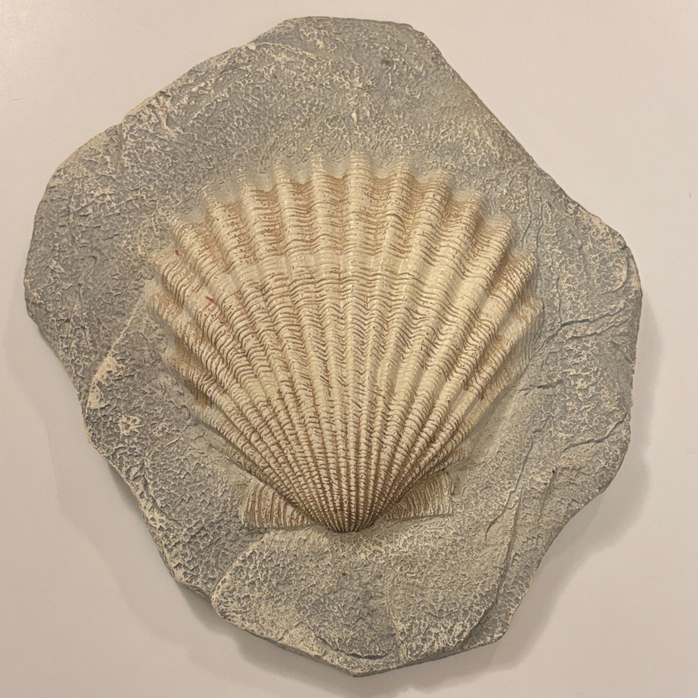 Natural Shell Wall Art Decor
